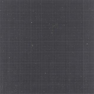 Darren Almond - Vertical Plot 16