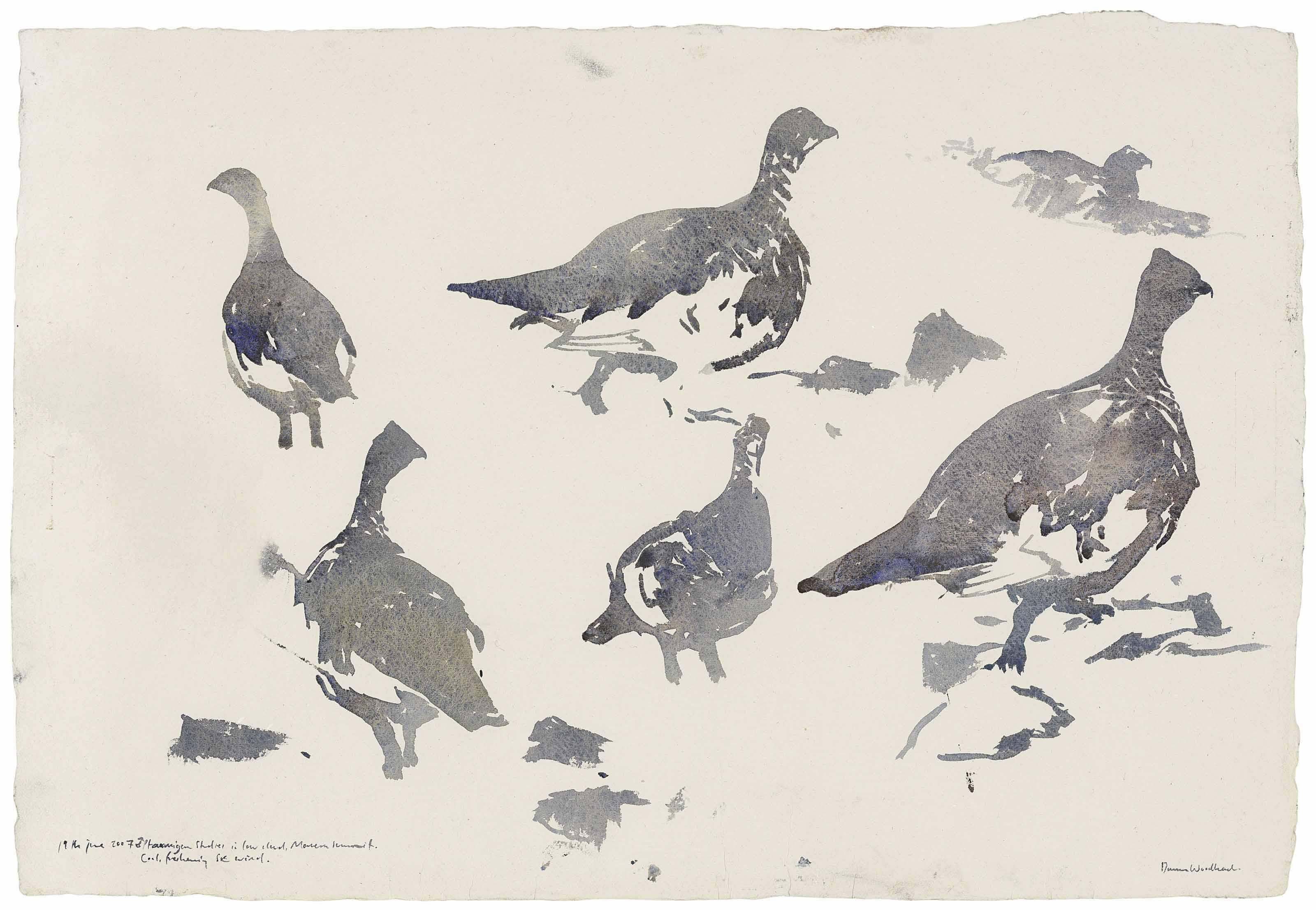 Darren Woodhead - Ptarmigan