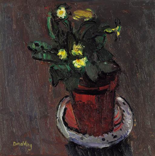 David Abercrombie Donaldson, R.S.A. - Primroses