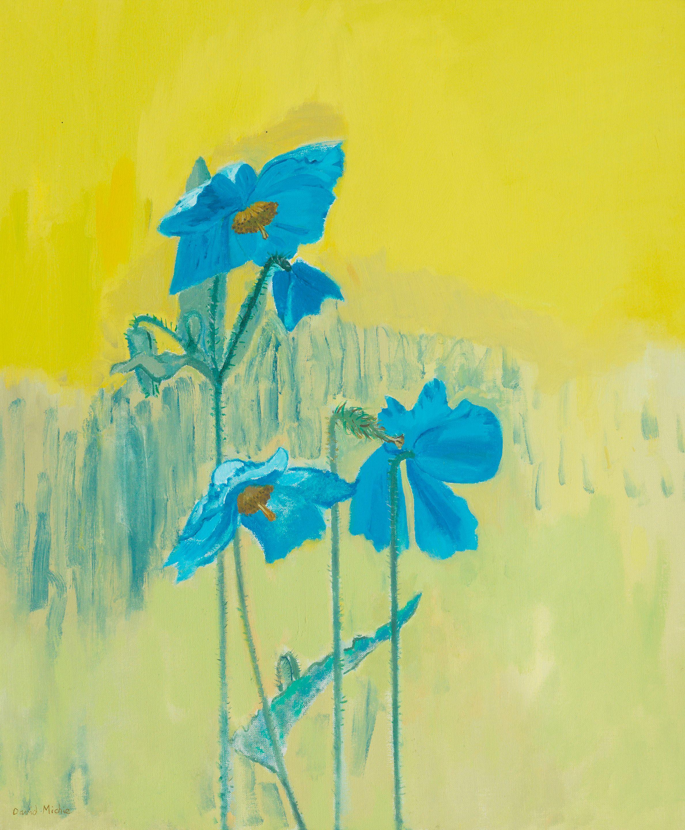 David Alan Redpath Michie RSA RGI FRSA - Blue poppies against yellow (Meconopsis sheldonii)