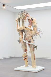 David Altmejd - The New North