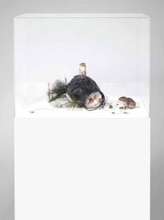 David Altmejd - Untitled