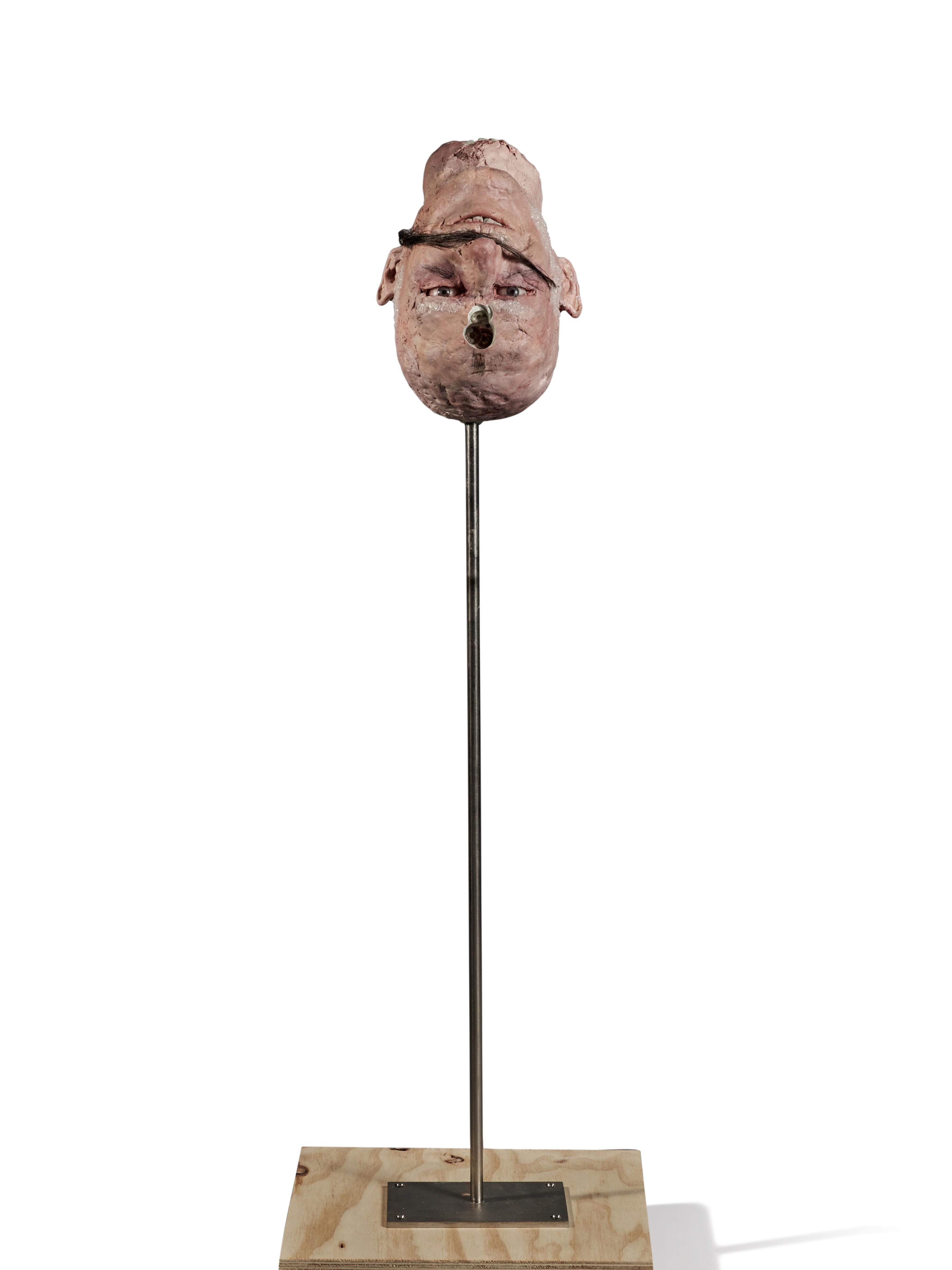 David Altmejd - Untitled