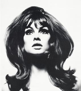 David Bailey - Box of Pin-Ups, 1965