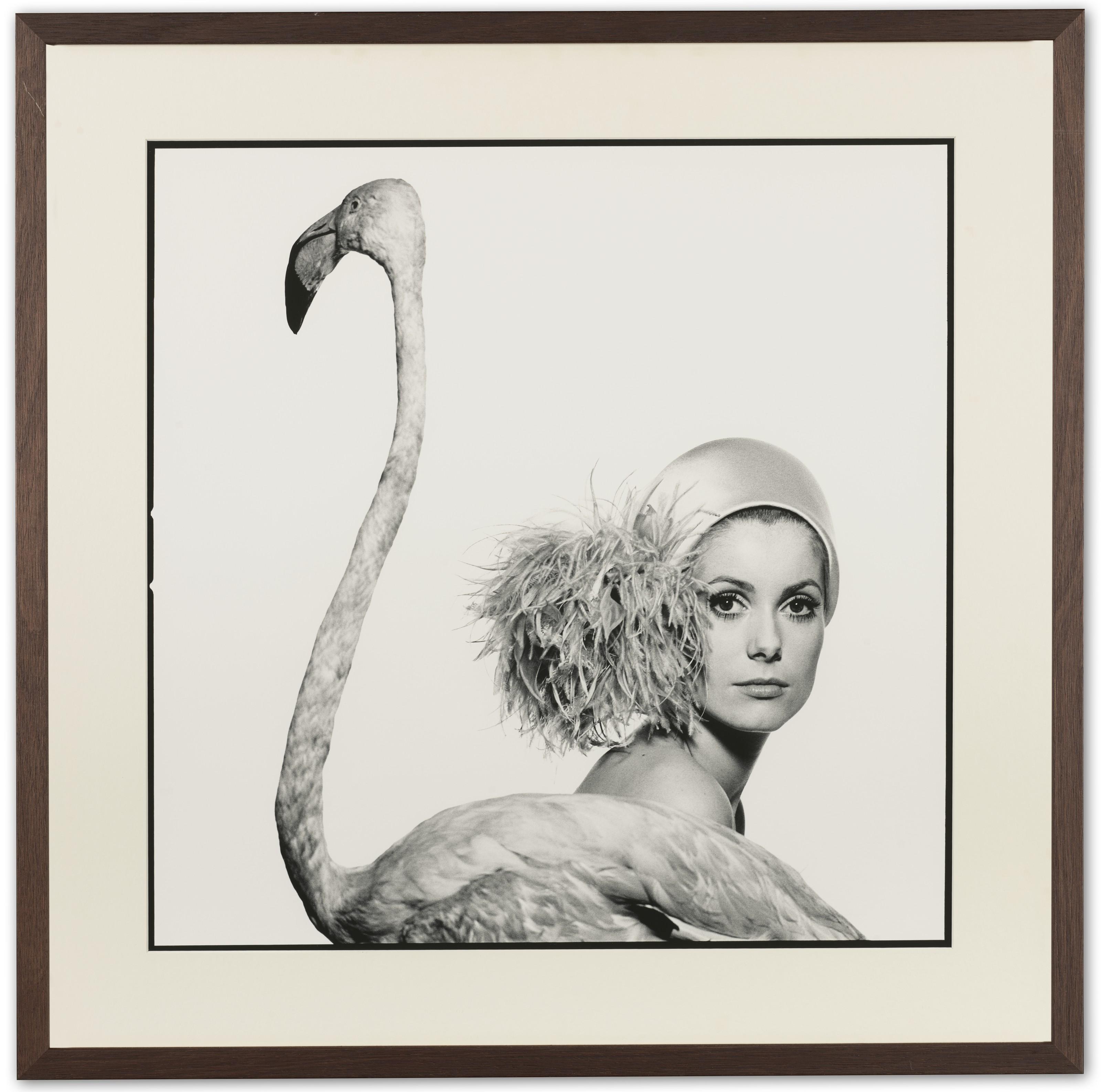 David Bailey - Catherine Deneuve, Flamingo, 1967
