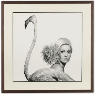 David Bailey - Catherine Deneuve, Flamingo, 1967