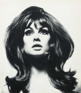 David Bailey - David Bailey\'s box of pin-ups