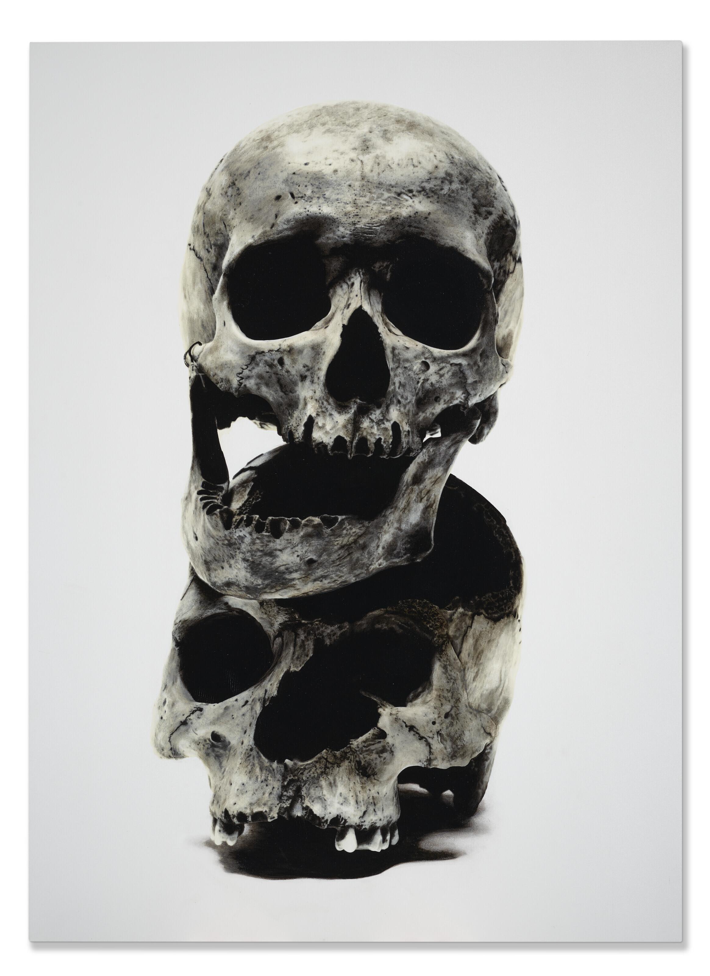 David Bailey - Two Skulls