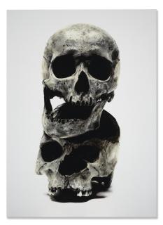 David Bailey - Two Skulls