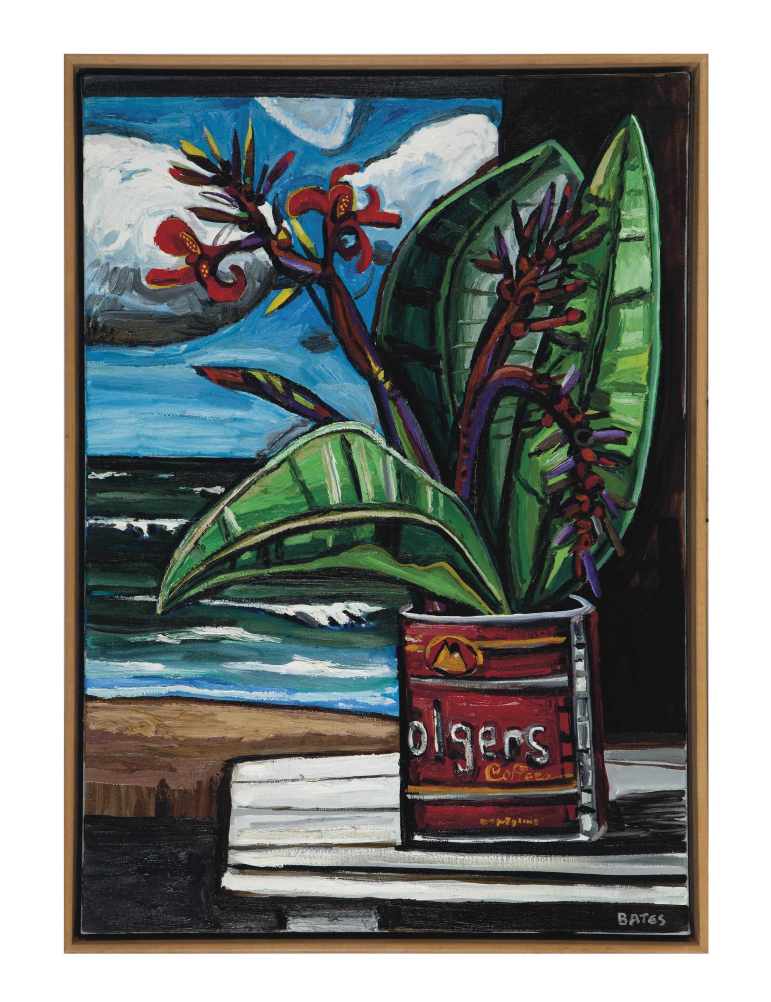 David Bates - Cannas