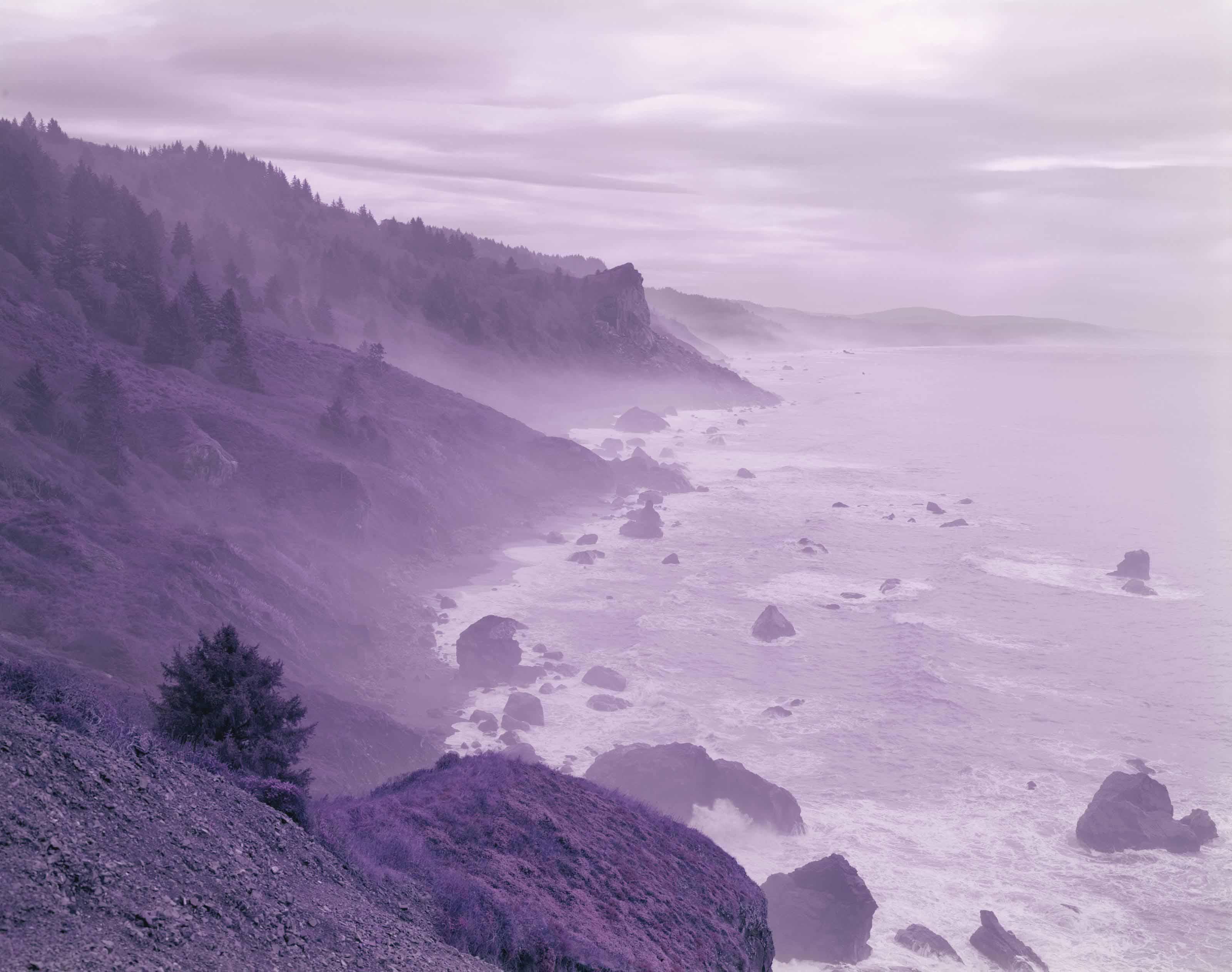 David Benjamin Sherry - All Matterings Of Mind Equal One Violet