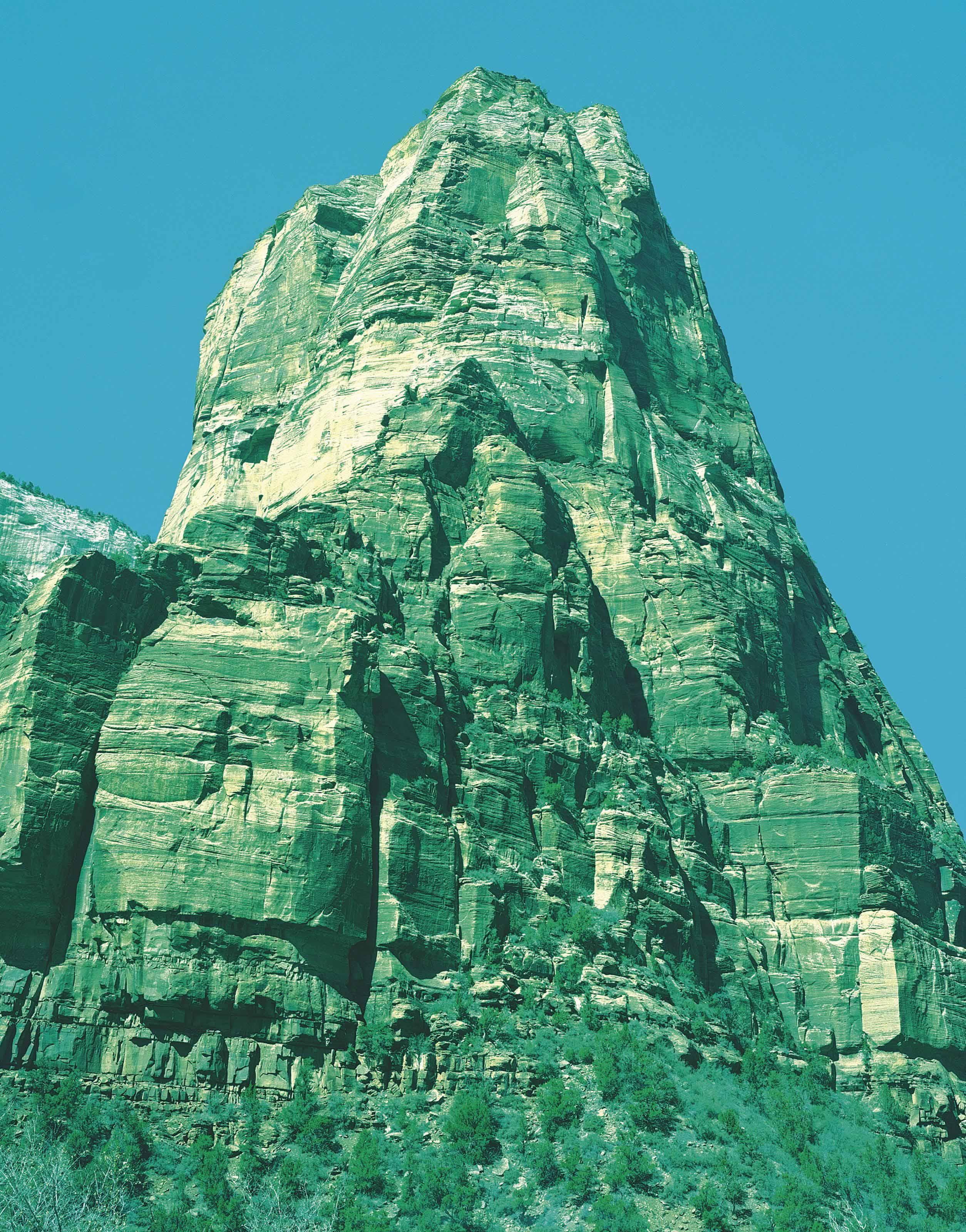 David Benjamin Sherry - Holy Holy