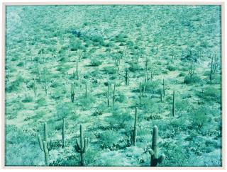 David Benjamin Sherry - Upward And Then Eternal Ends, 2009