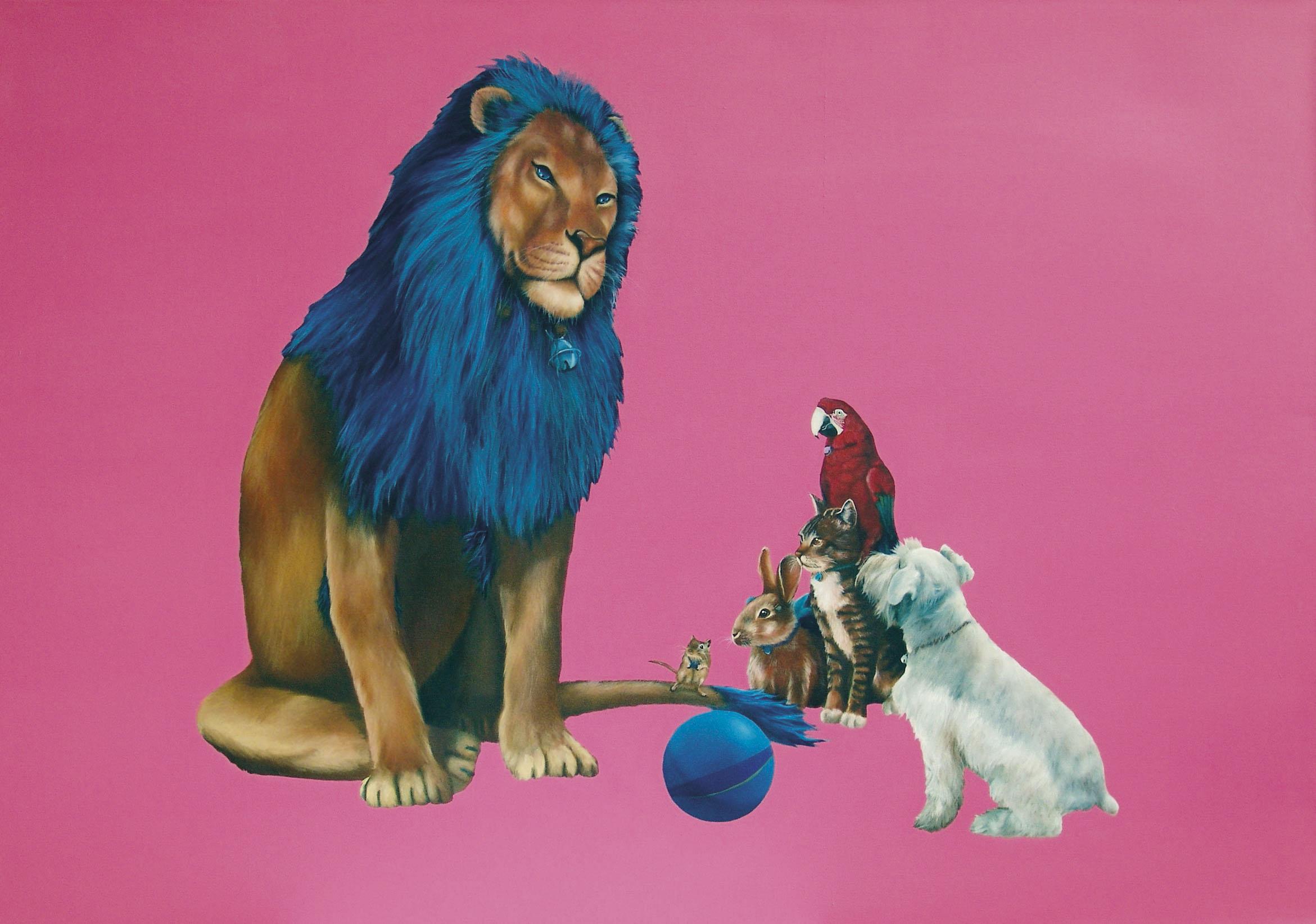 David Chan - Can He Play Ball With Us?