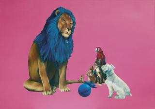 David Chan - Can He Play Ball With Us?