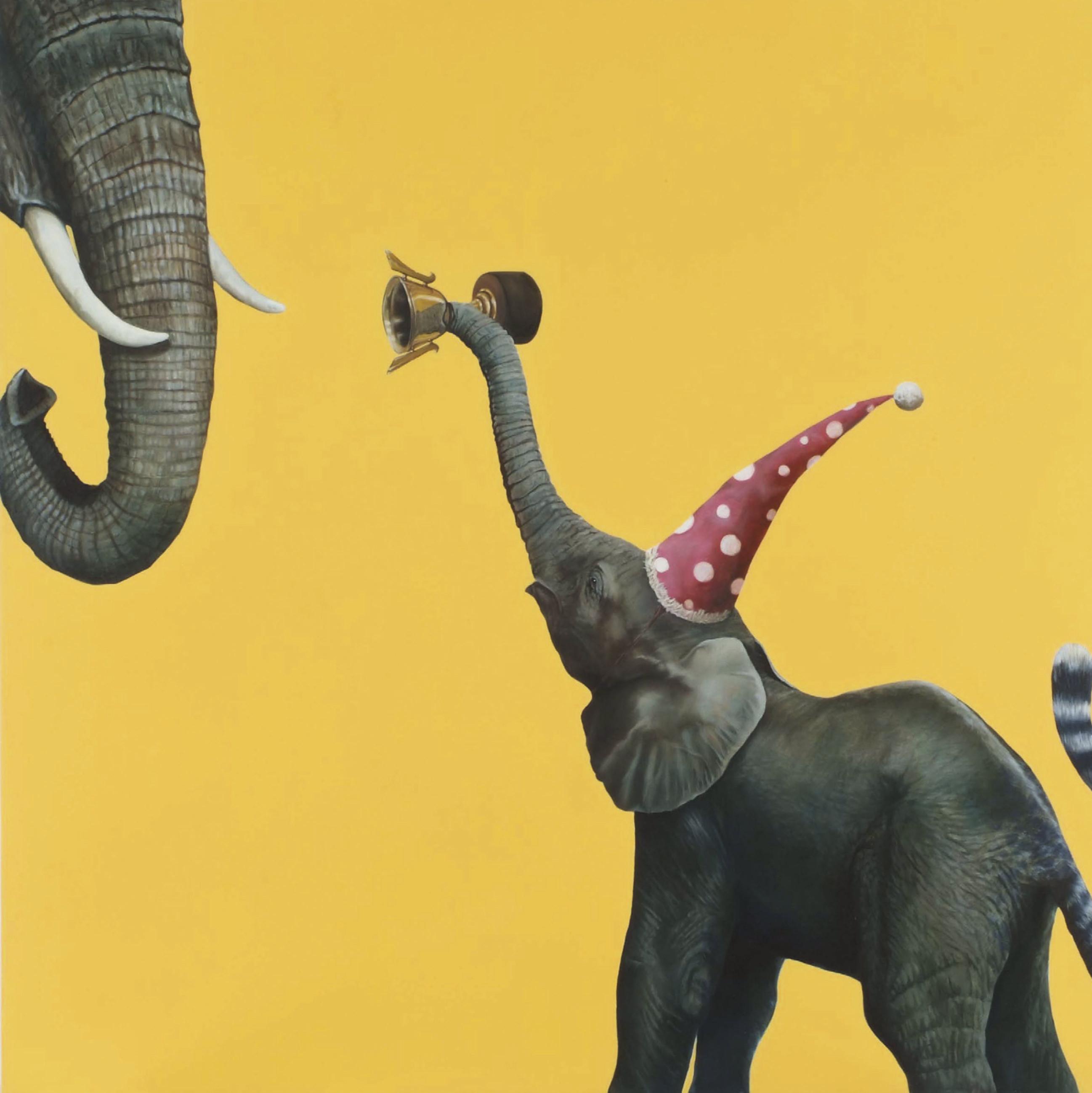 David Chan - They want to make a champion out of you