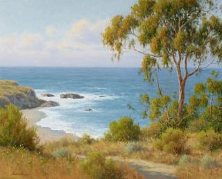 David Chapple - California Coast
