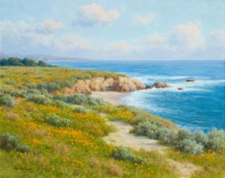 David Chapple - California Coast