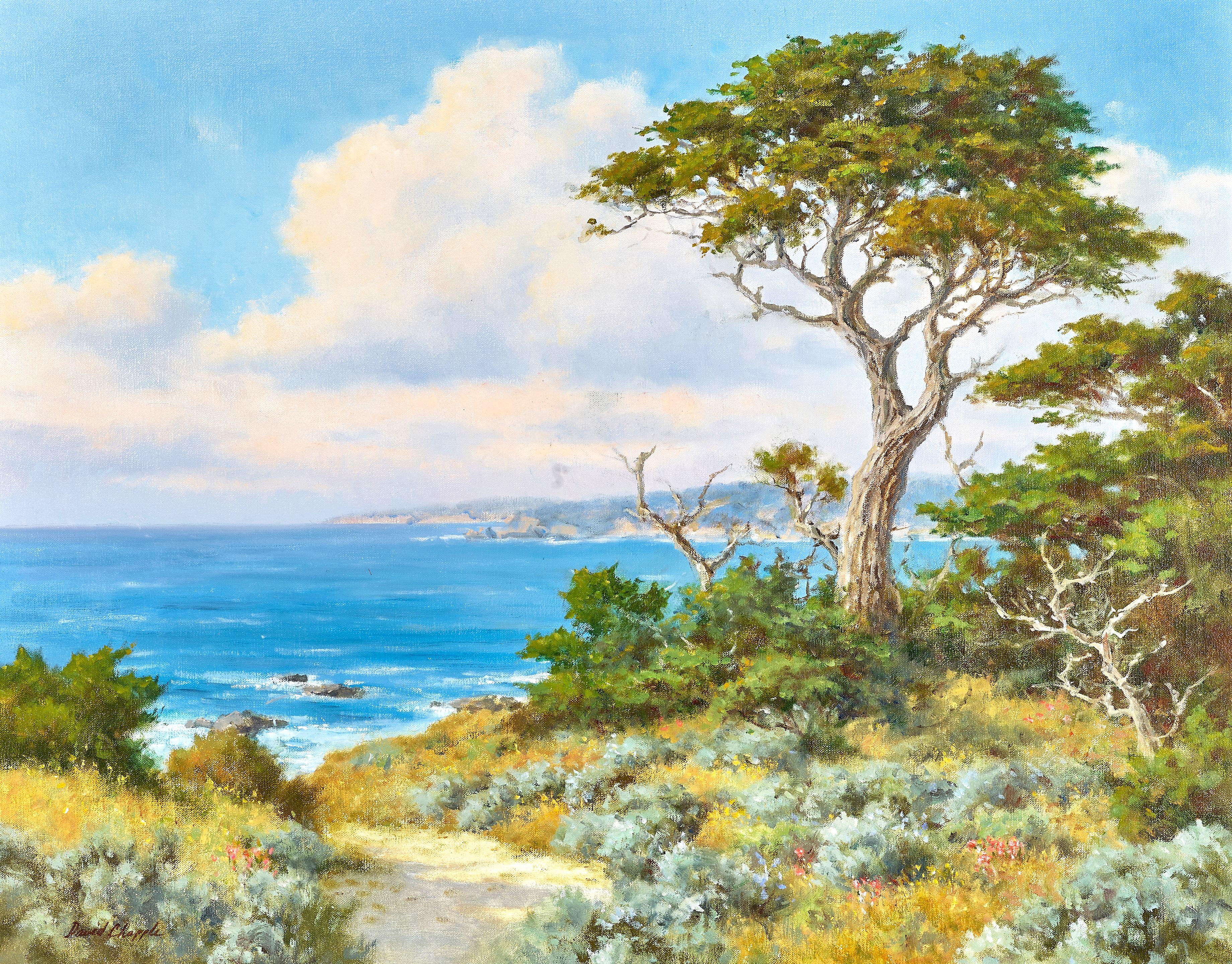David Chapple - Carmel Coast