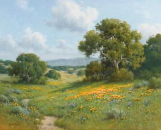 David Chapple - Clearing Skies