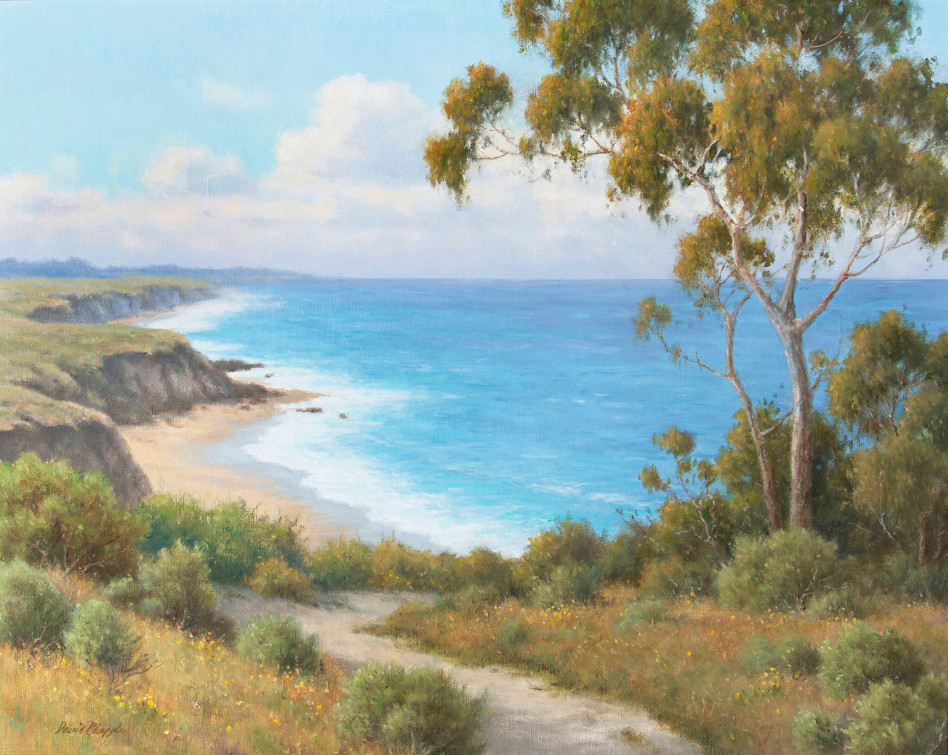 David Chapple - Coastal Bluffs