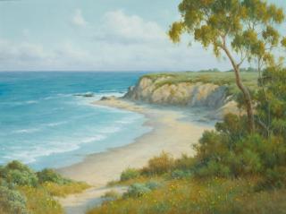 David Chapple - Coastal Bluffs