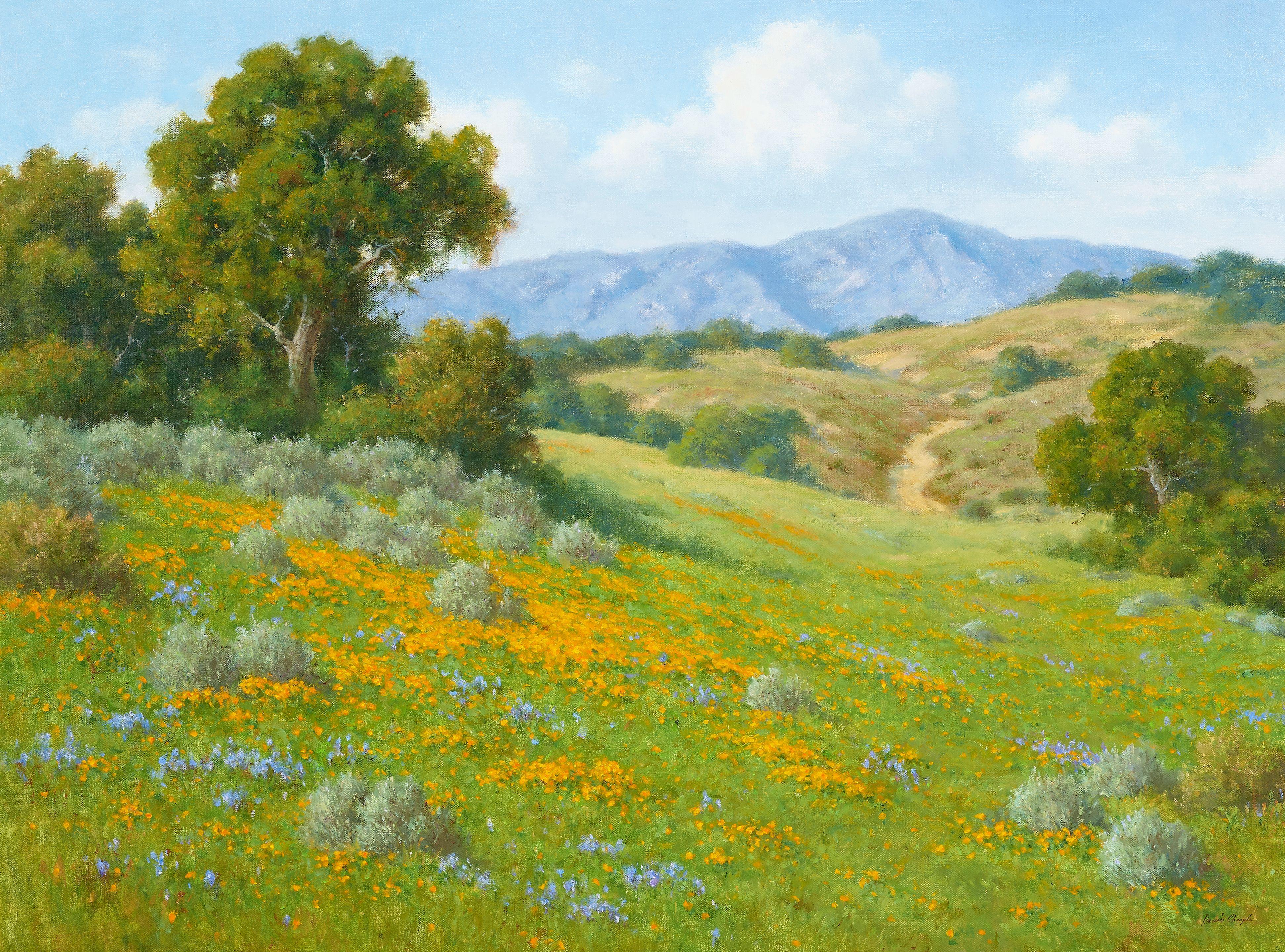 David Chapple - Foothill Color