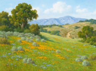 David Chapple - Foothill Color