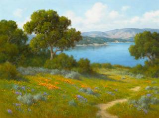 David Chapple - Lakeside Oaks