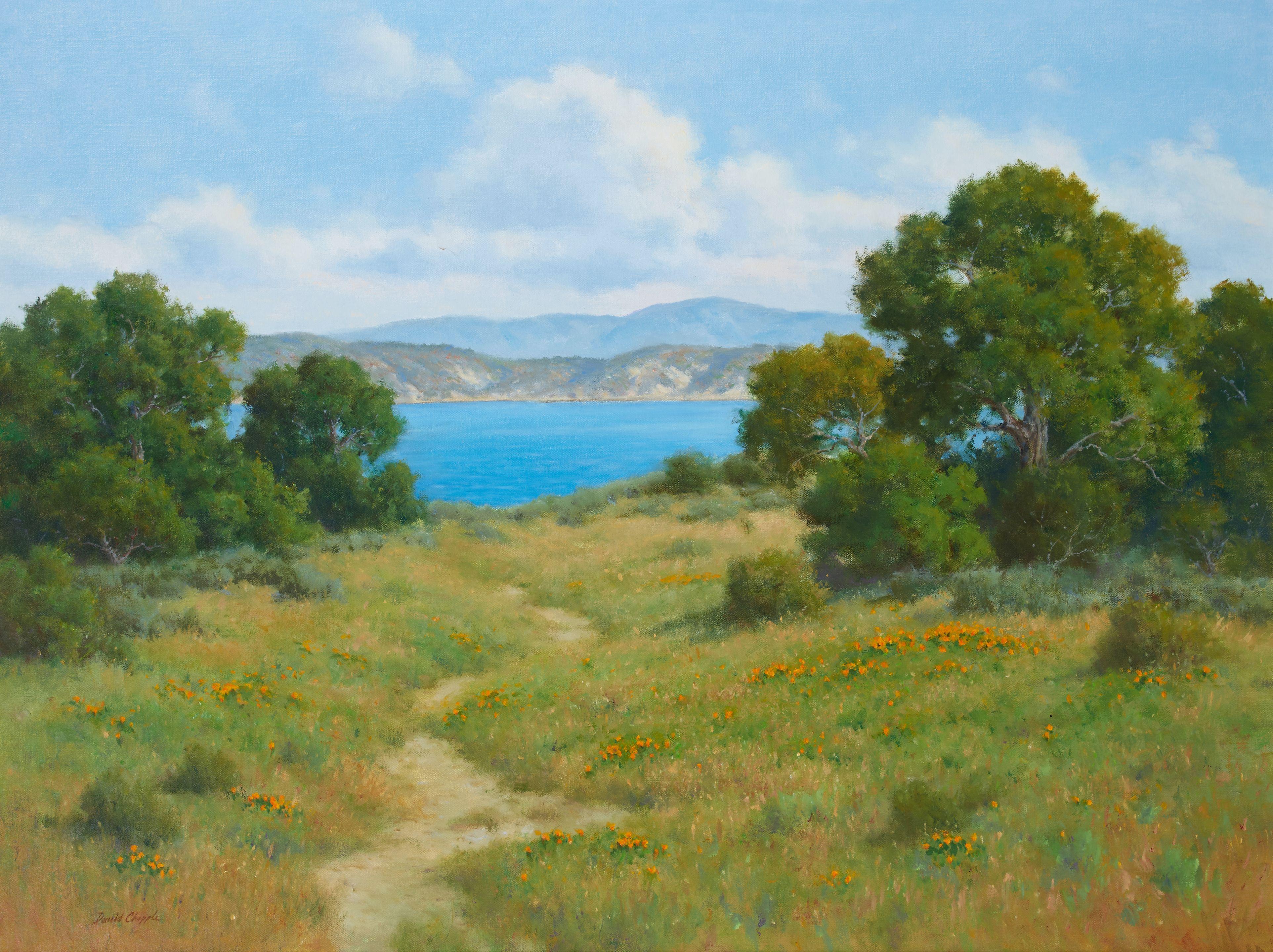 David Chapple - Lakeside Retreat