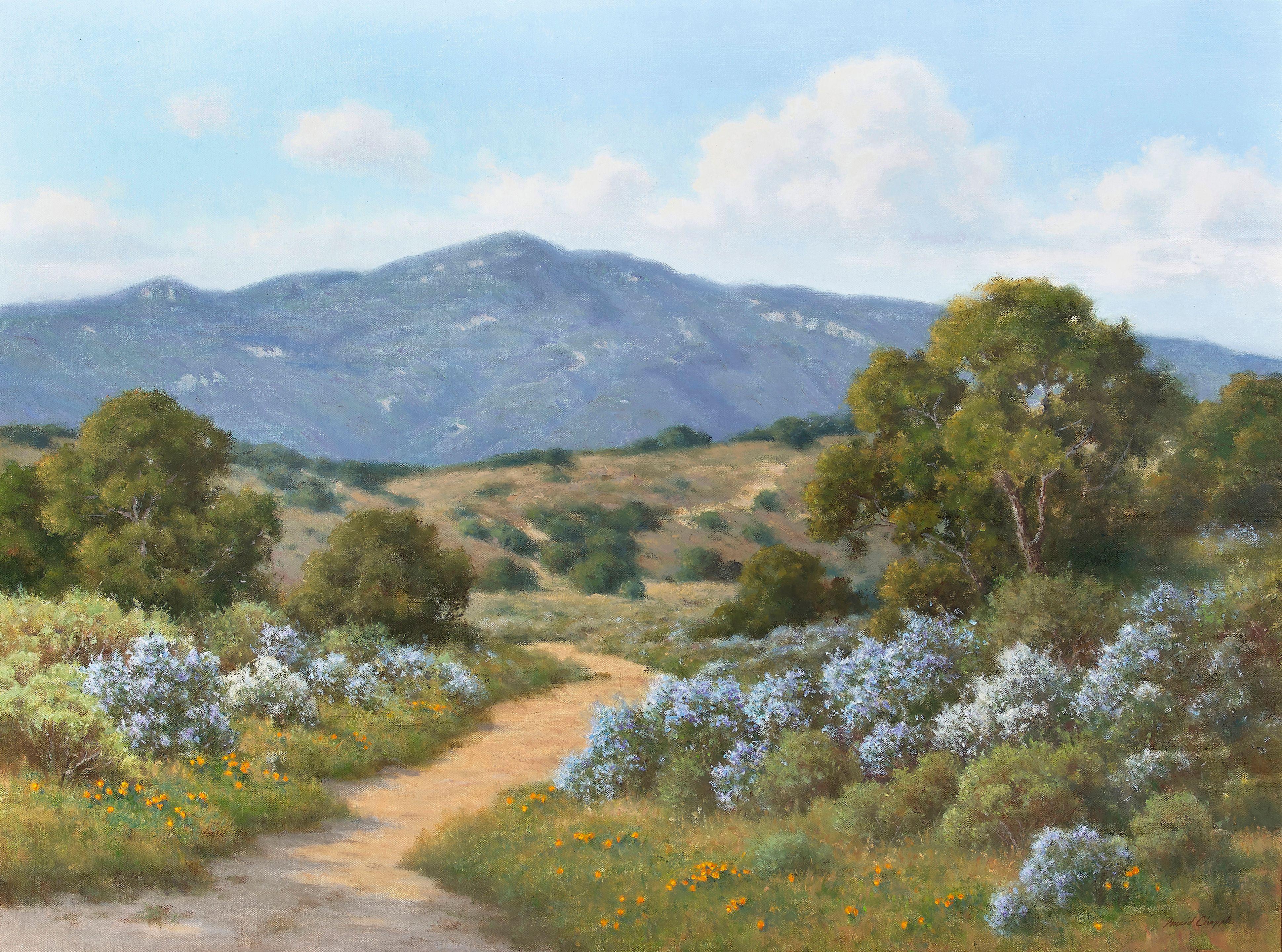David Chapple - Santa Monica Mountains