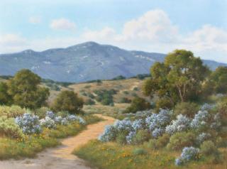 David Chapple - Santa Monica Mountains