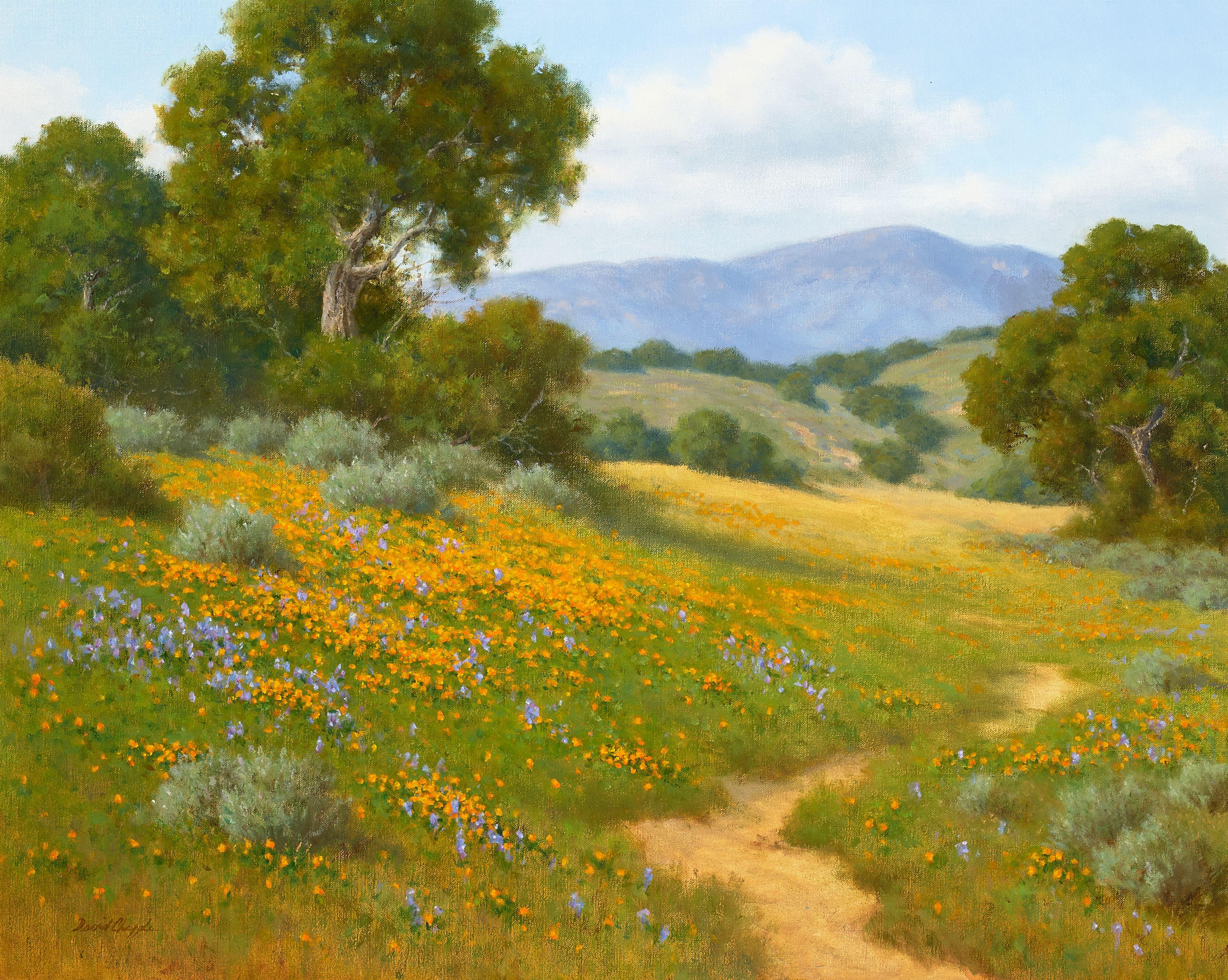 David Chapple - Santa Ynez Backcountry 24 x 30 in. framed 32 x 38 in.