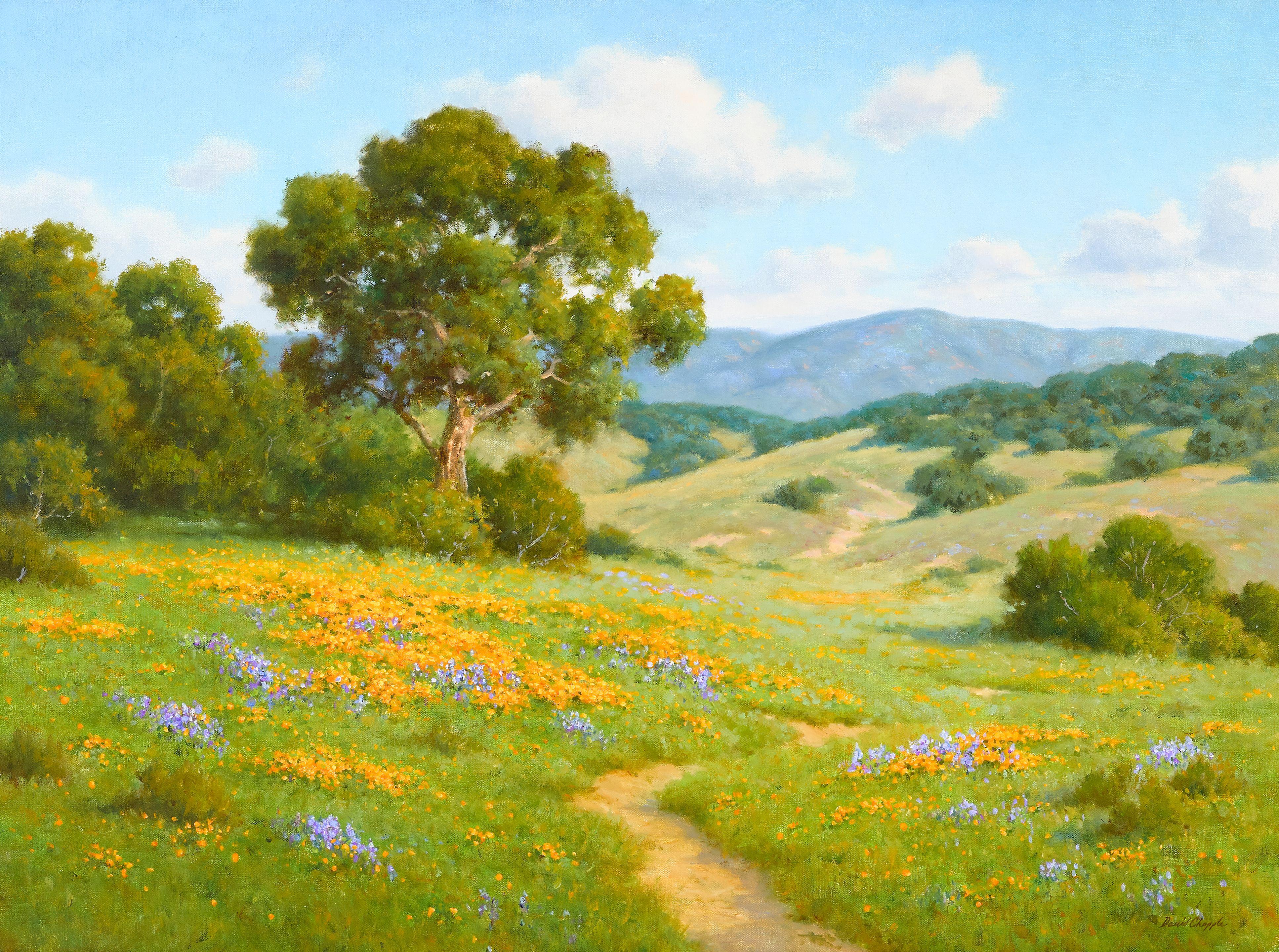 David Chapple - Santa Ynez Foothills
