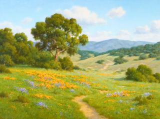 David Chapple - Santa Ynez Foothills