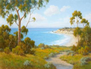 David Chapple - Secluded Cove