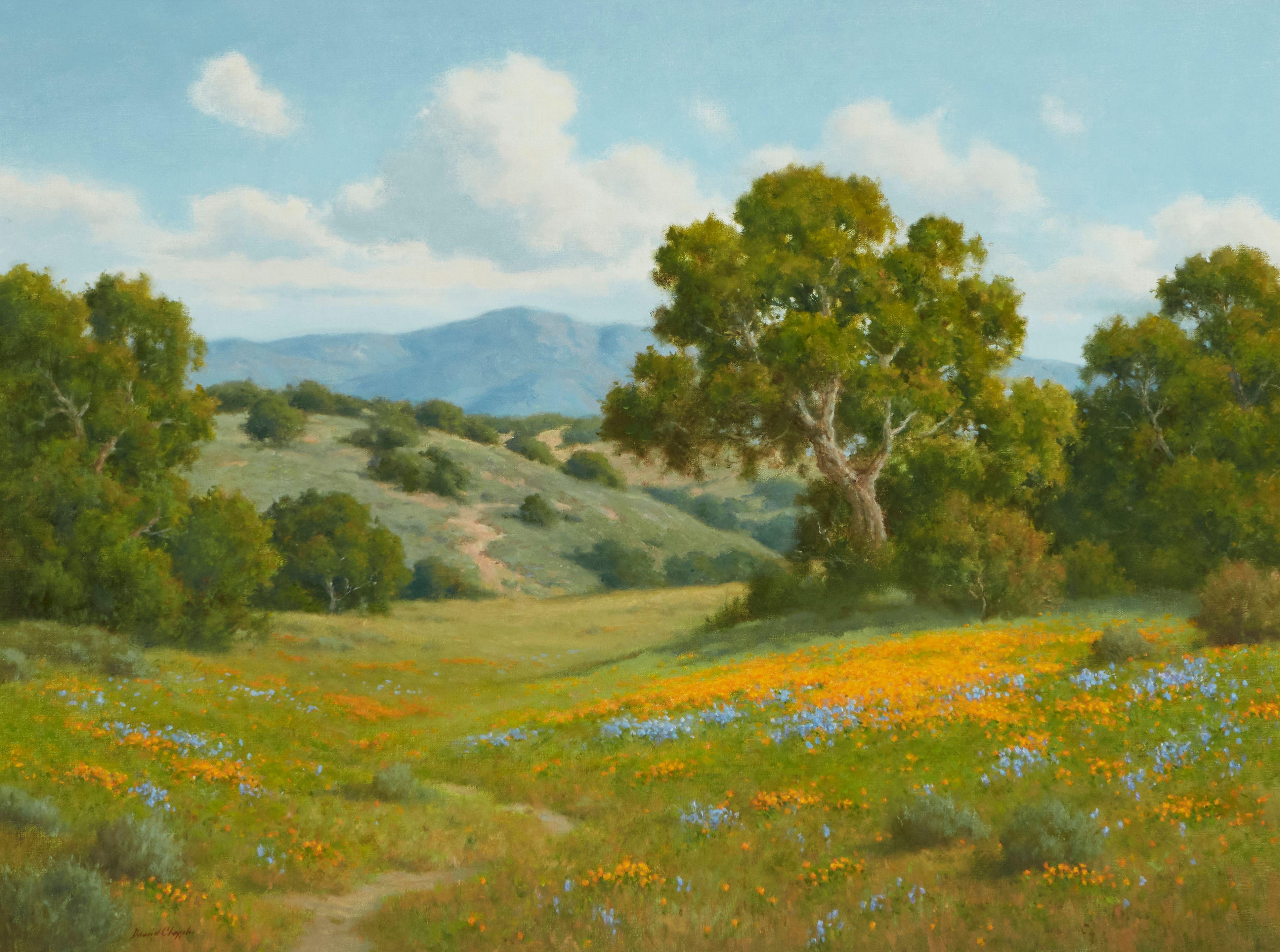 David Chapple - Spring Bloom