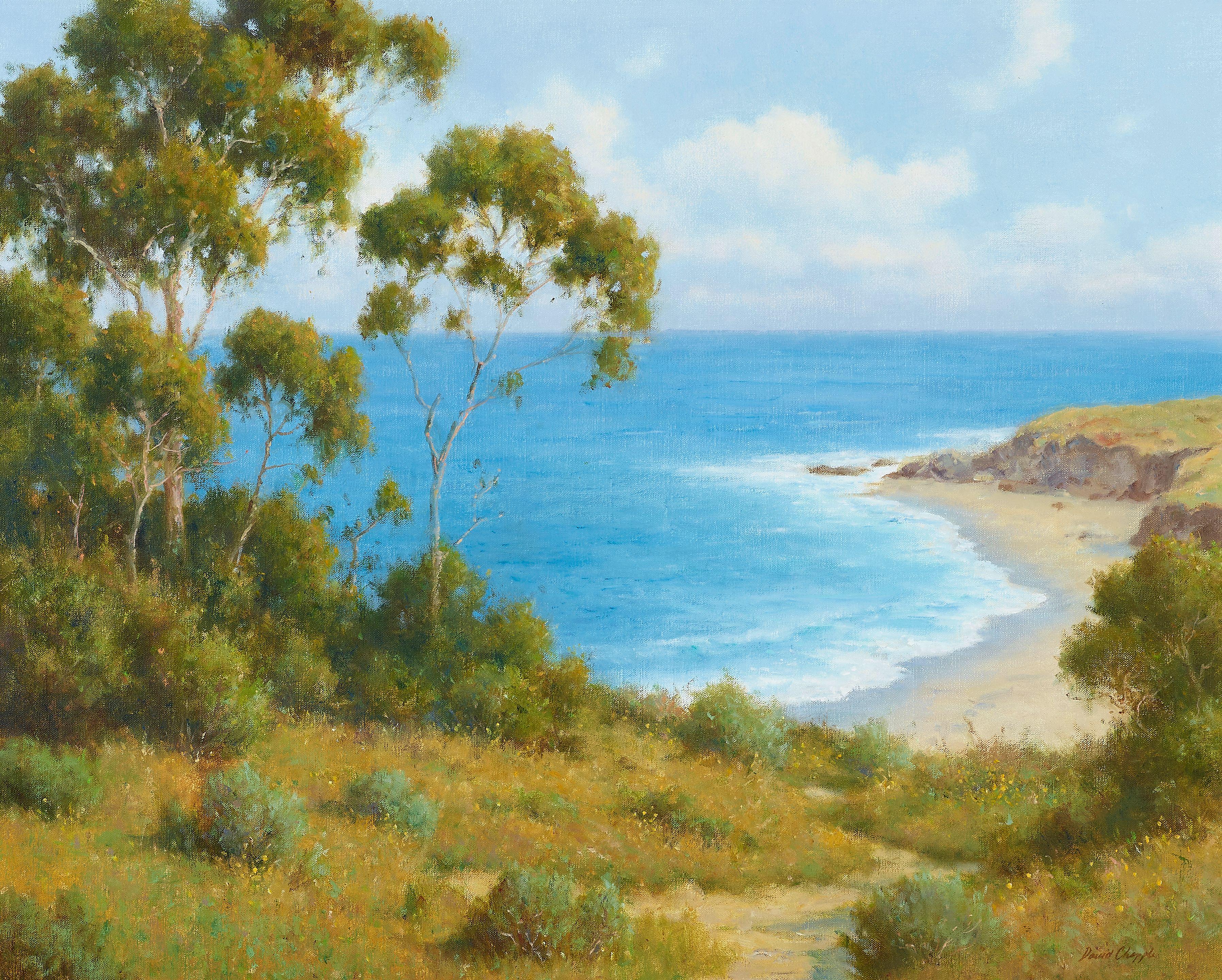David Chapple - Sunlit Cove