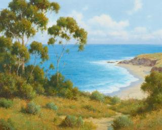 David Chapple - Sunlit Cove