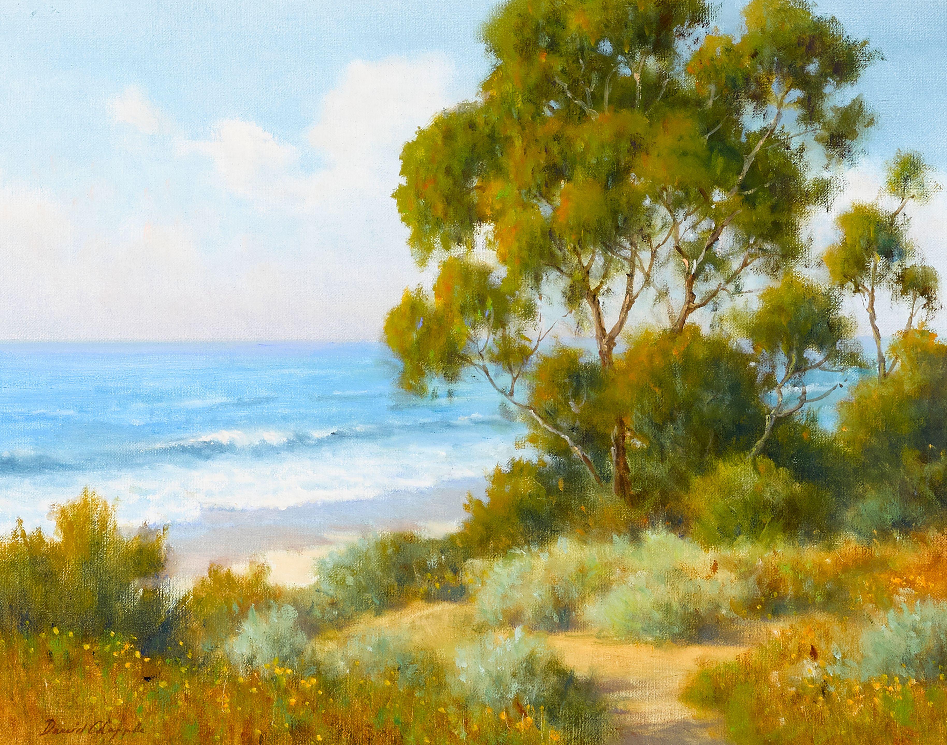 David Chapple - Surfer\'s Path