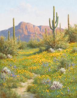 David Chapple - The Gift of Rain