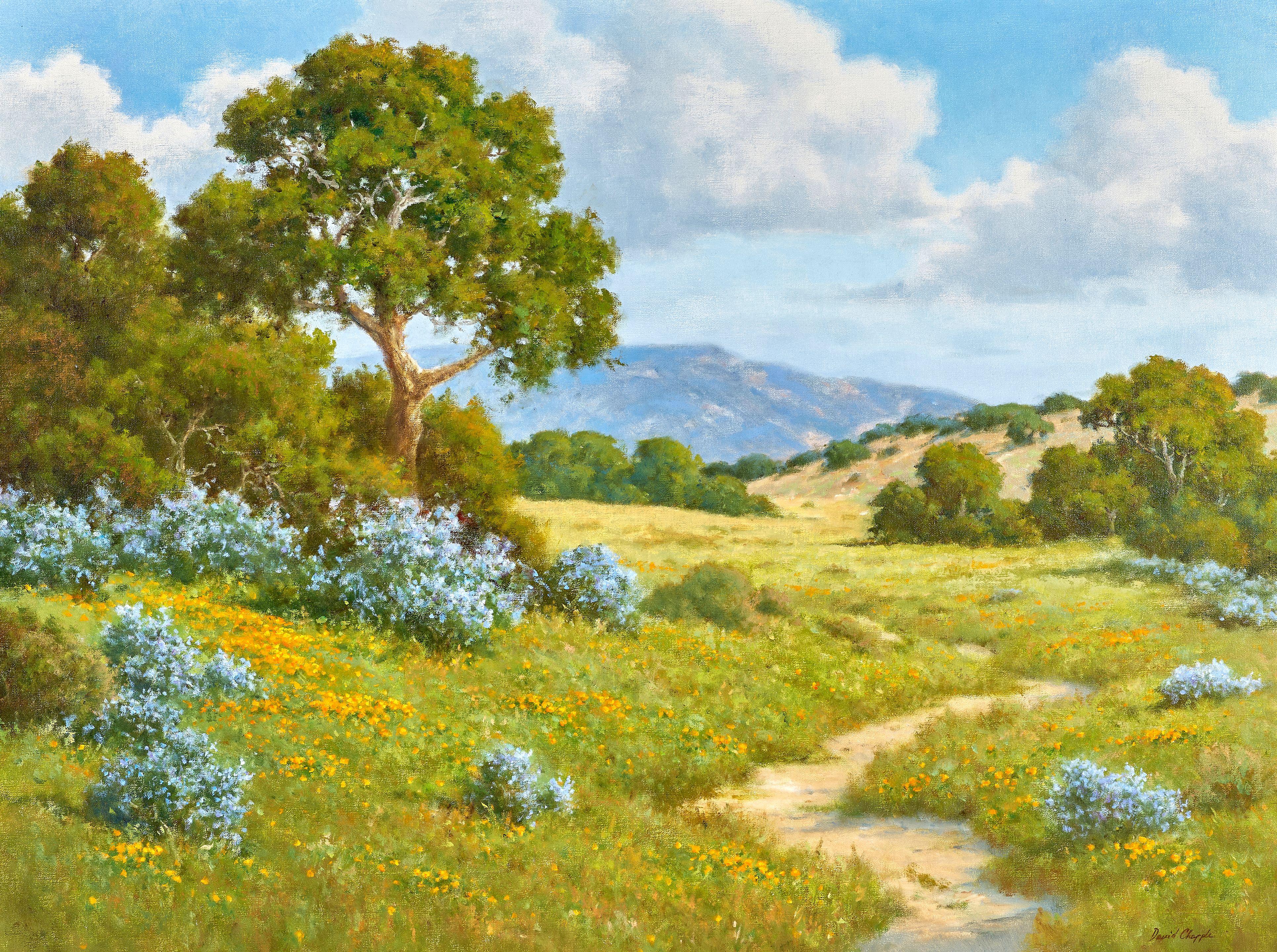 David Chapple - Wild Lilac