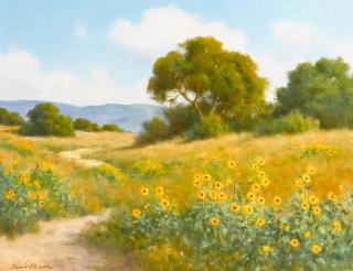 David Chapple - Wild Sunflowers