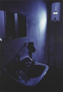 David Claerbout - Geiser