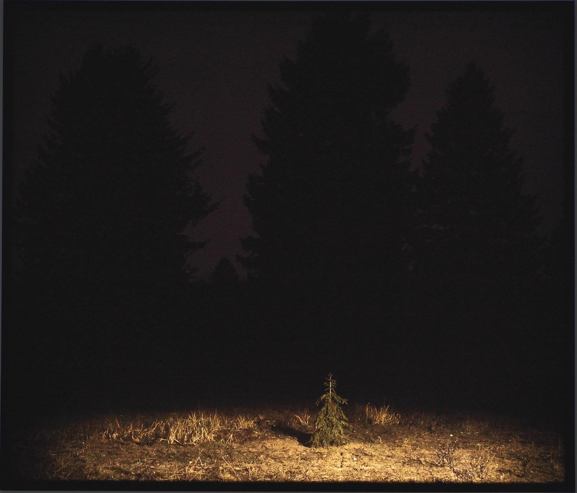 David Claerbout - Nightscape Lightbox (Fourth)