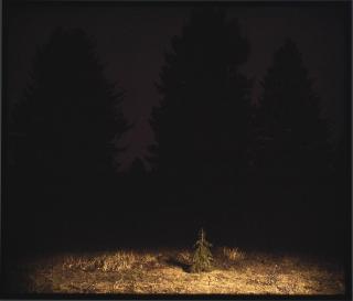 David Claerbout - Nightscape Lightbox (Fourth)