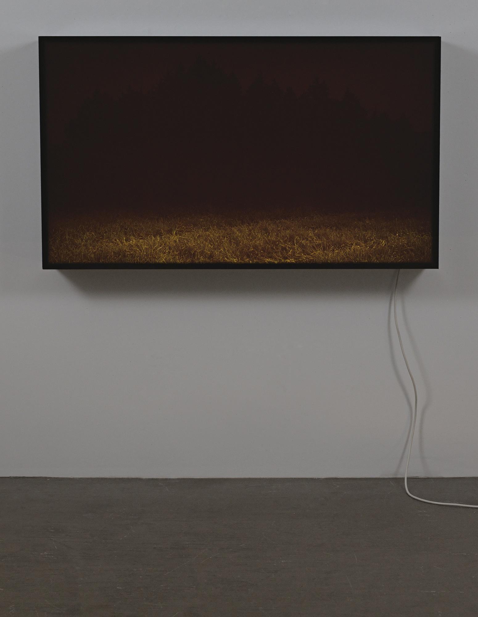 David Claerbout - Nightscape Lightbox (Third)