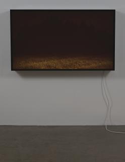 David Claerbout - Nightscape Lightbox (Third)