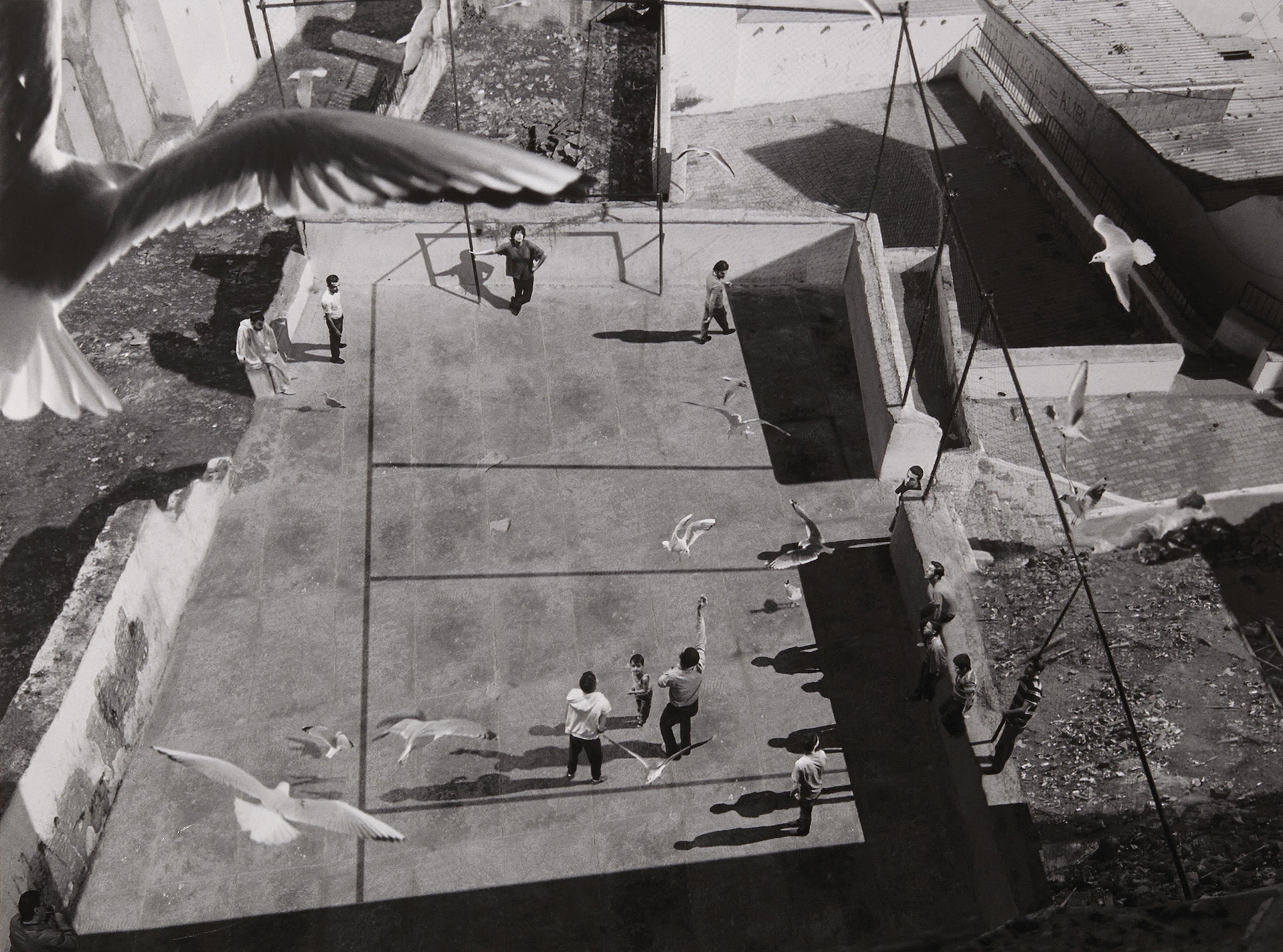 David Claerbout - The Algiers\' Sections Of A Happy Moment