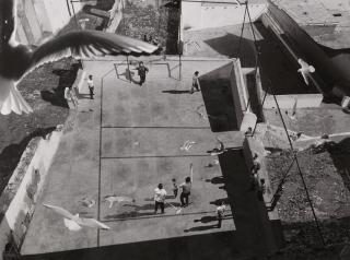 David Claerbout - The Algiers\' Sections Of A Happy Moment